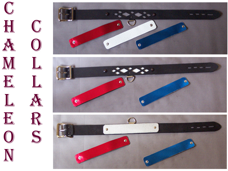 Chameleon Collars